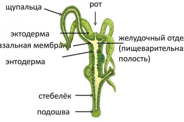 Kraken ссылка актуальная москва