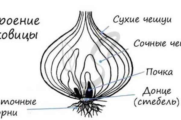 Кракен купить порошок маркетплейс